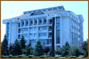 Executor judecătoresc Trancă Nicuşor